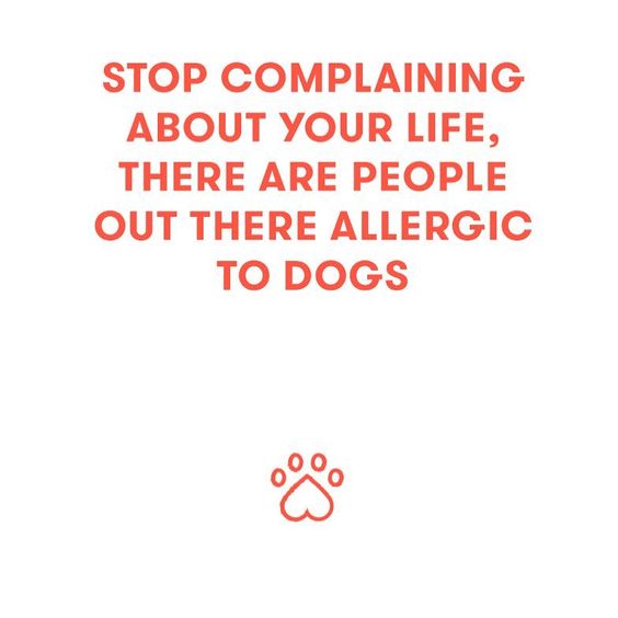 9b92f9698f06cae6bb4ae143c5aa3612